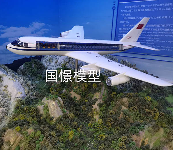 丹阳市飞机模型