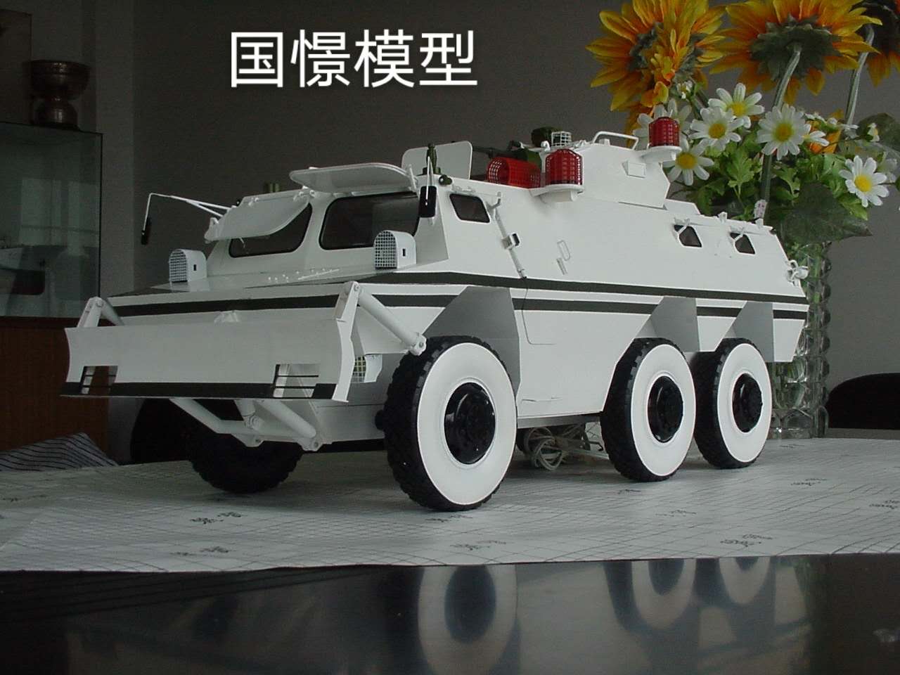丹阳市军事模型